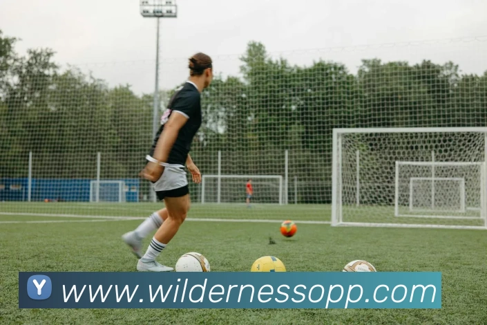 未来规划